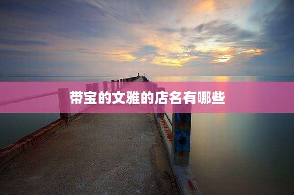 带宝的文雅的店名有哪些
