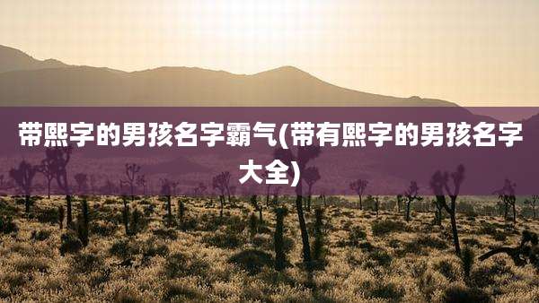 带熙字的男孩名字霸气(带有熙字的男孩名字大全)
