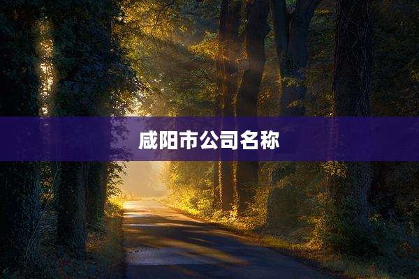 咸阳市公司名称