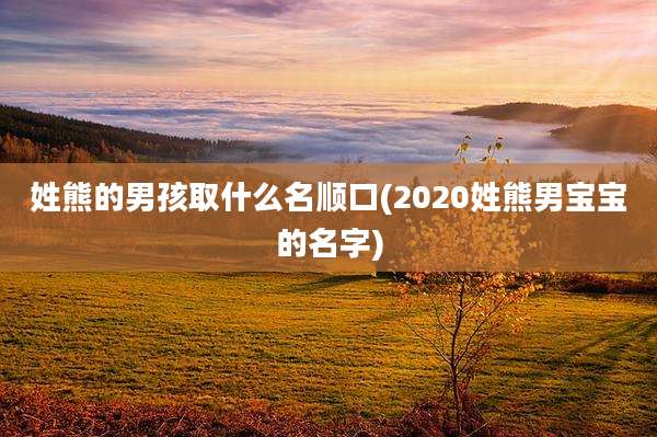 姓熊的男孩取什么名顺口(2020姓熊男宝宝的名字)