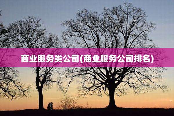 商业服务类公司(商业服务公司排名)
