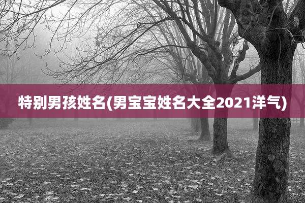 特别男孩姓名(男宝宝姓名大全2021洋气)