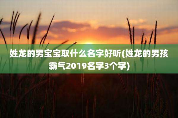 姓龙的男宝宝取什么名字好听(姓龙的男孩霸气2019名字3个字)