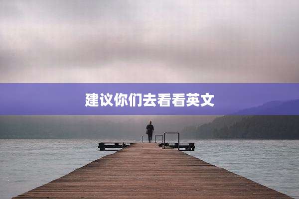 建议你们去看看英文