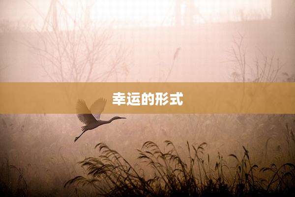 幸运的形式