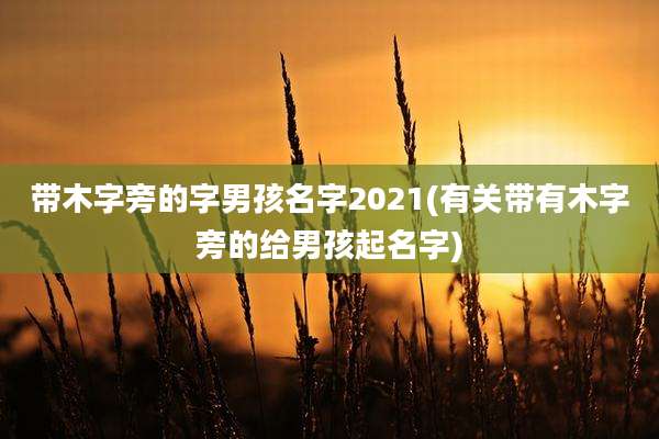 带木字旁的字男孩名字2021(有关带有木字旁的给男孩起名字)