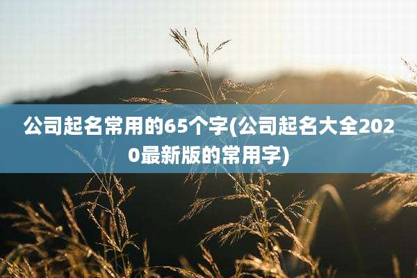 公司起名常用的65个字(公司起名大全2020最新版的常用字)