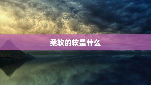 柔软的软是什么