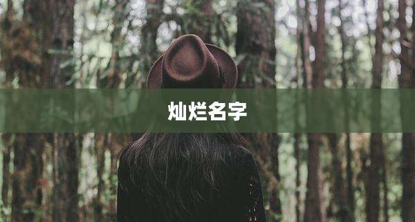 灿烂名字