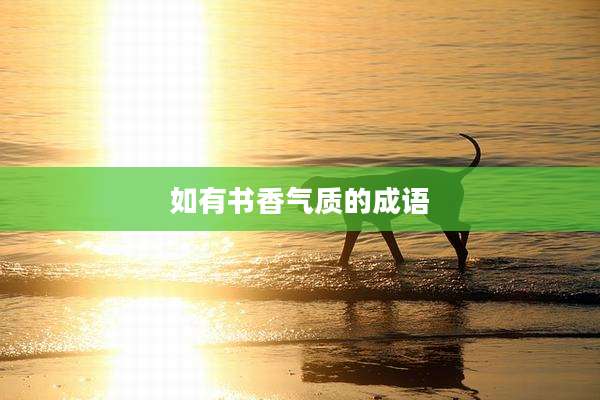 如有书香气质的成语