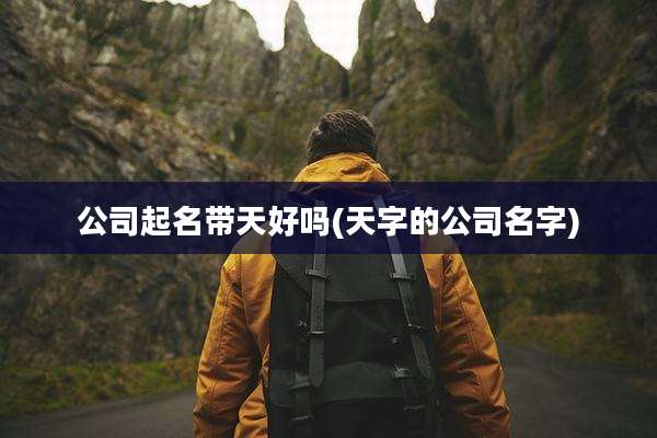 公司起名带天好吗(天字的公司名字)