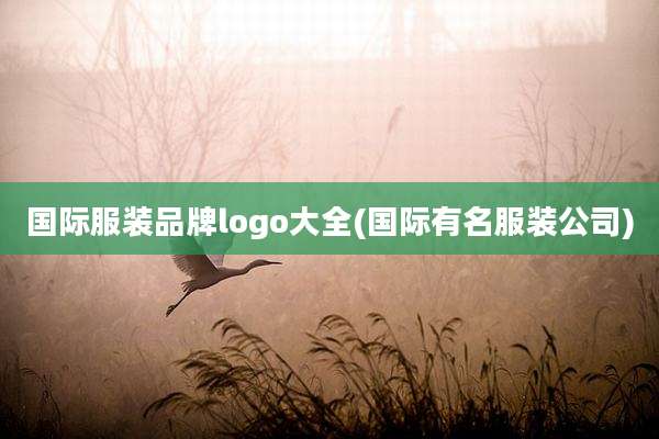 国际服装品牌logo大全(国际有名服装公司)