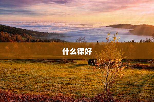 什么锦好