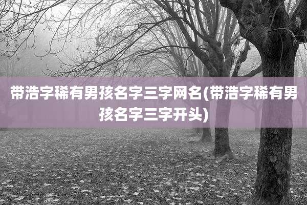 带浩字稀有男孩名字三字网名(带浩字稀有男孩名字三字开头)