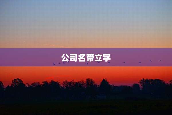 公司名带立字
