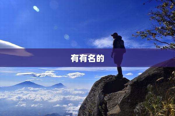 有有名的