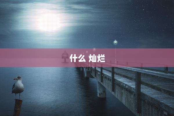什么 灿烂