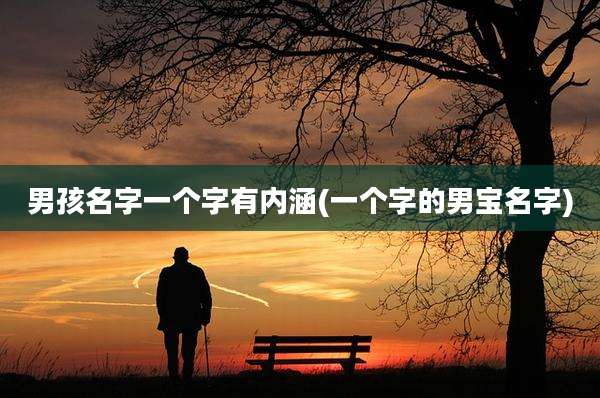 男孩名字一个字有内涵(一个字的男宝名字)