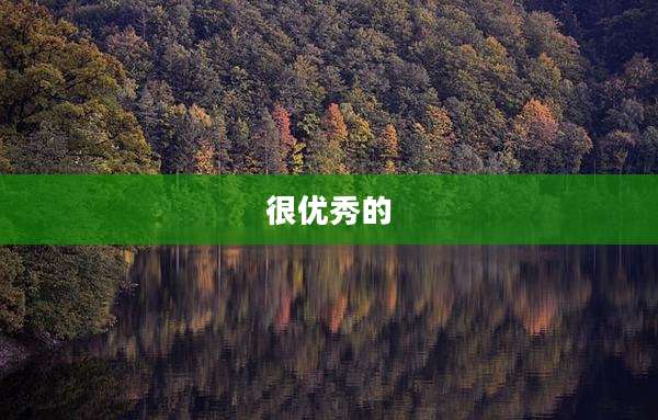 很优秀的