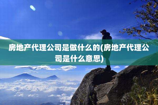 房地产代理公司是做什么的(房地产代理公司是什么意思)