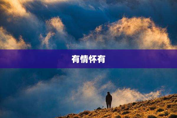 有情怀有