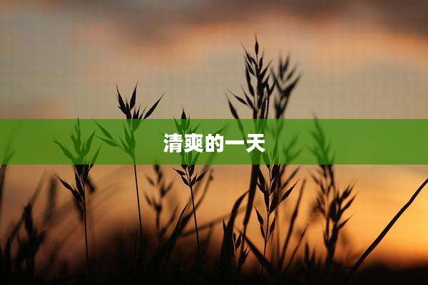 清爽的一天