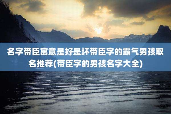 名字带臣寓意是好是坏带臣字的霸气男孩取名推荐(带臣字的男孩名字大全)