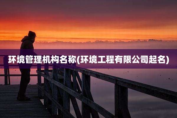 环境管理机构名称(环境工程有限公司起名)