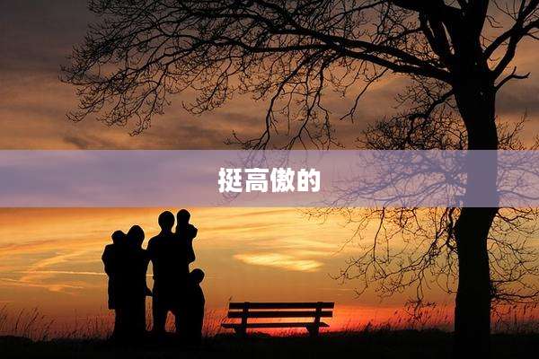 挺高傲的