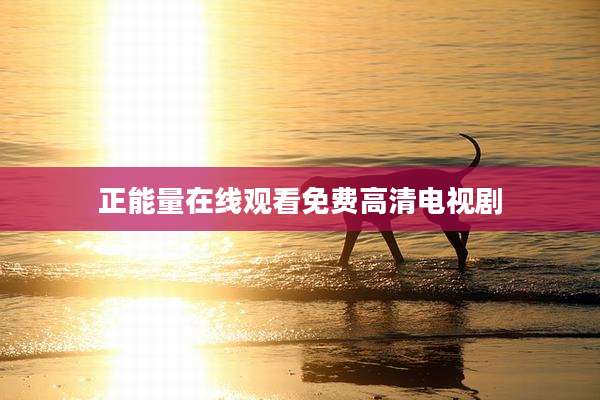 正能量在线观看免费高清电视剧