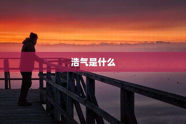 浩气是什么