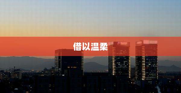 借以温柔