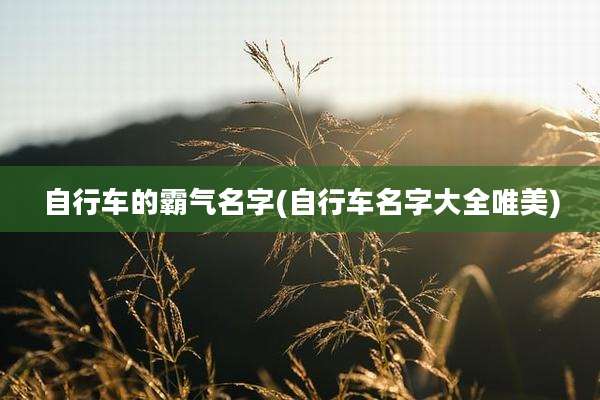 自行车的霸气名字(自行车名字大全唯美)