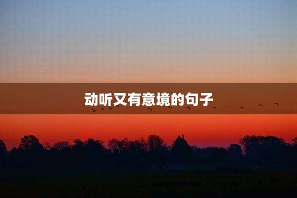 动听又有意境的句子