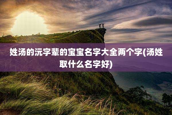 姓汤的沅字辈的宝宝名字大全两个字(汤姓取什么名字好)