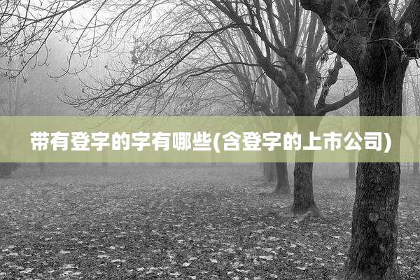 带有登字的字有哪些(含登字的上市公司)