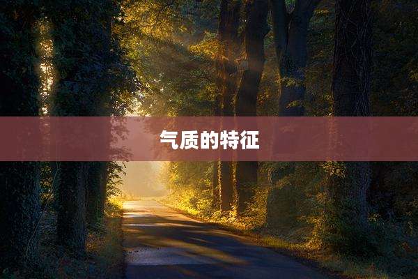 气质的特征