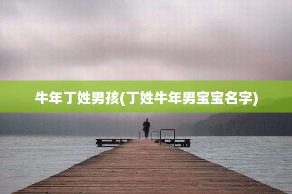 牛年丁姓男孩(丁姓牛年男宝宝名字)