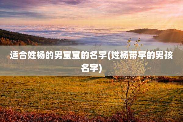 适合姓杨的男宝宝的名字(姓杨带宇的男孩名字)