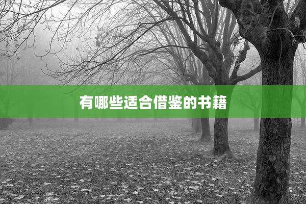 有哪些适合借鉴的书籍