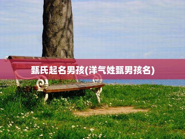 甄氏起名男孩(洋气姓甄男孩名)