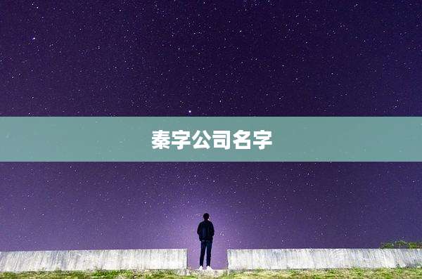秦字公司名字
