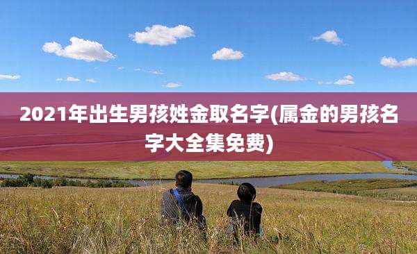 2021年出生男孩姓金取名字(属金的男孩名字大全集免费)
