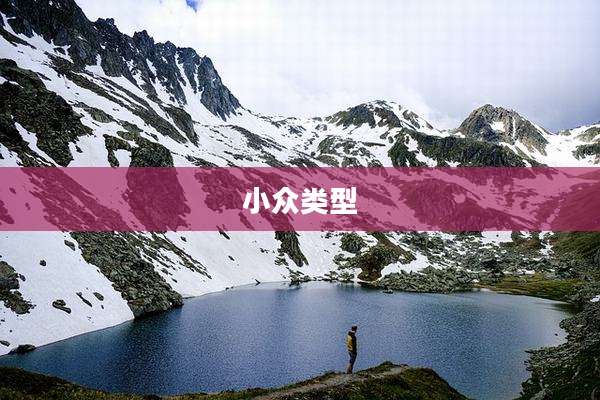 小众类型