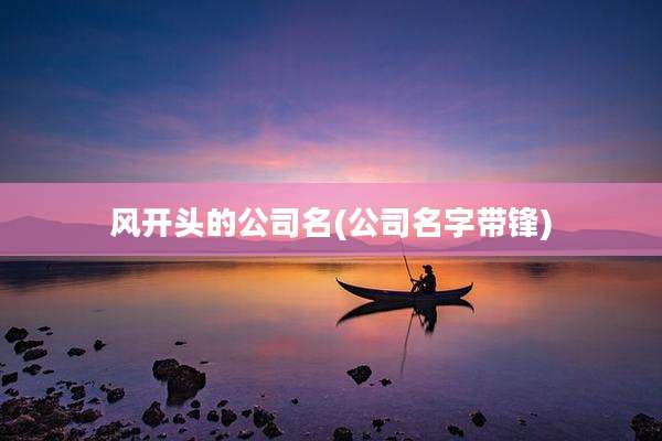 风开头的公司名(公司名字带锋)