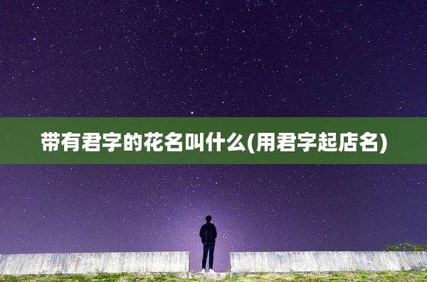带有君字的花名叫什么(用君字起店名)