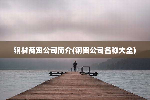 钢材商贸公司简介(钢贸公司名称大全)