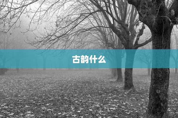 古韵什么