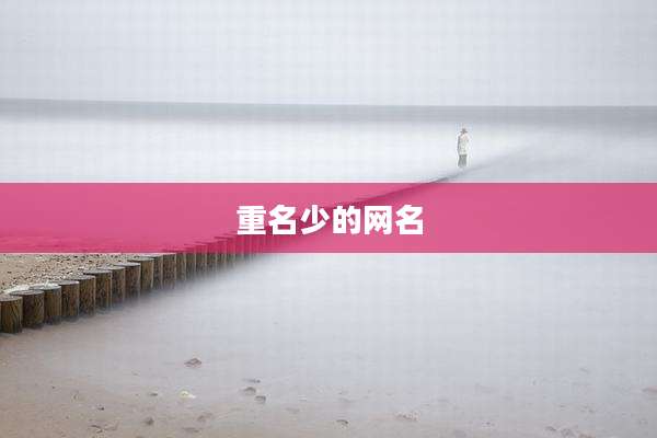 重名少的网名