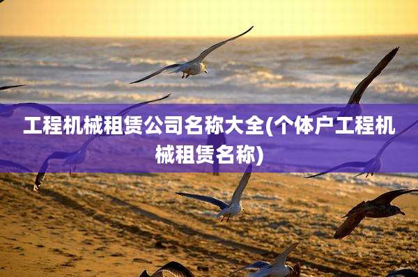 工程机械租赁公司名称大全(个体户工程机械租赁名称)